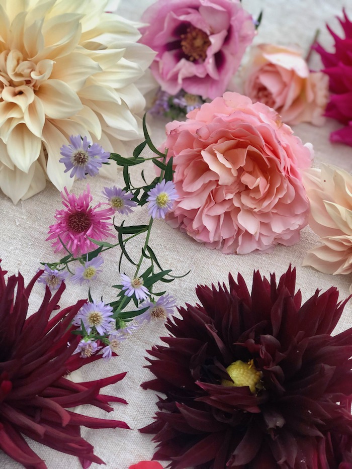 indian summer flowers- MY FRENCH COUNTRY HOME