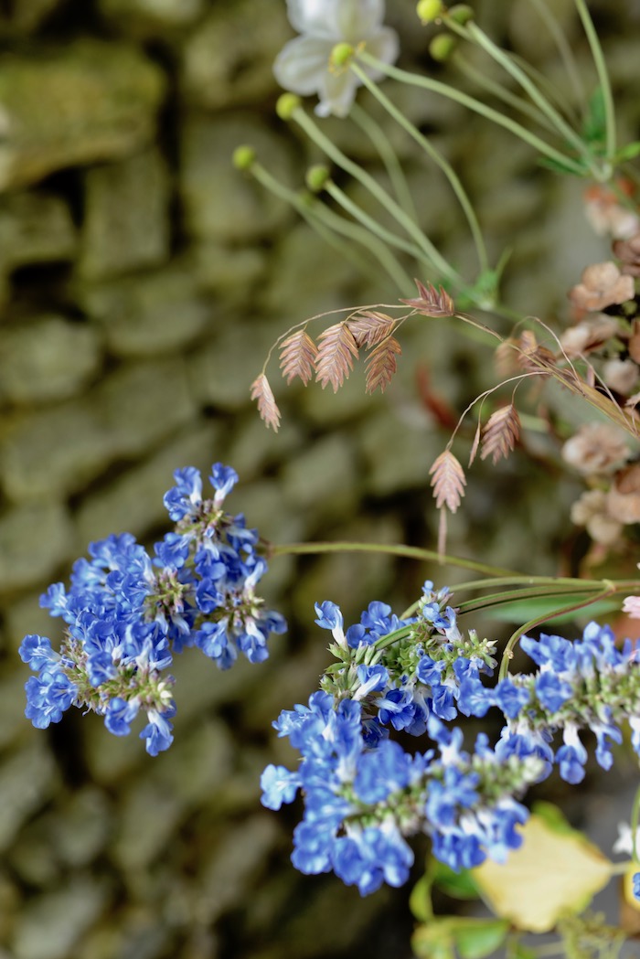 indian summer flowers- MY FRENCH COUNTRY HOME