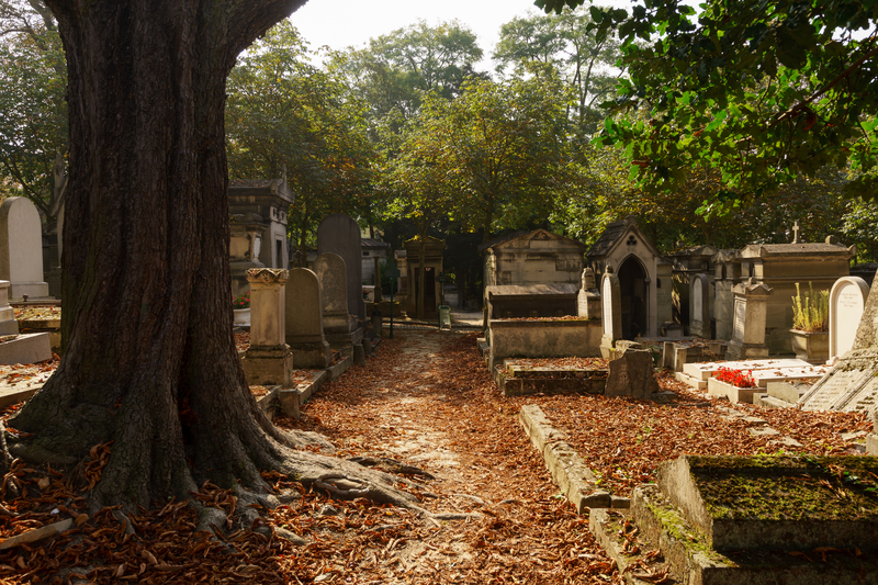 autumn leaves in pere lachaise cemetary
