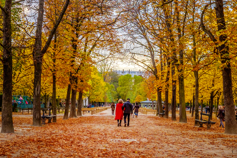 couple walking in golden leaves in the Tuilleries garden
