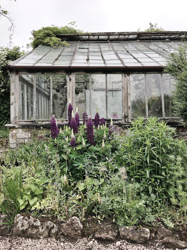 old glass greenhouse with flowers and rock wall