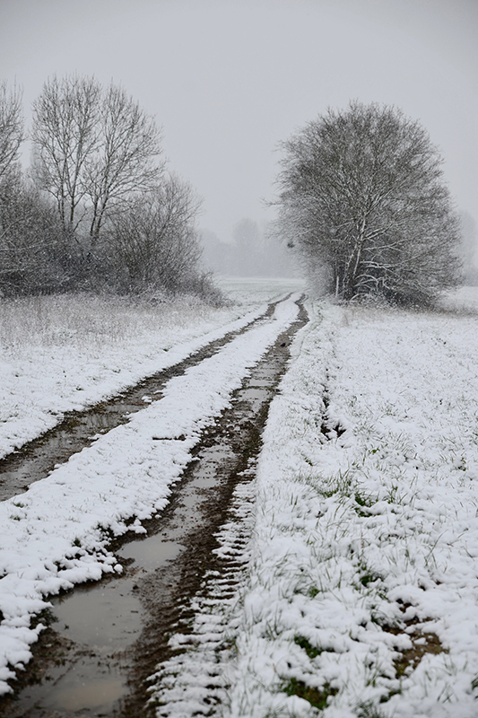 A French country path covered in snow- looking forward to christmas with the family- MY FRENCH COUNTRY HOME