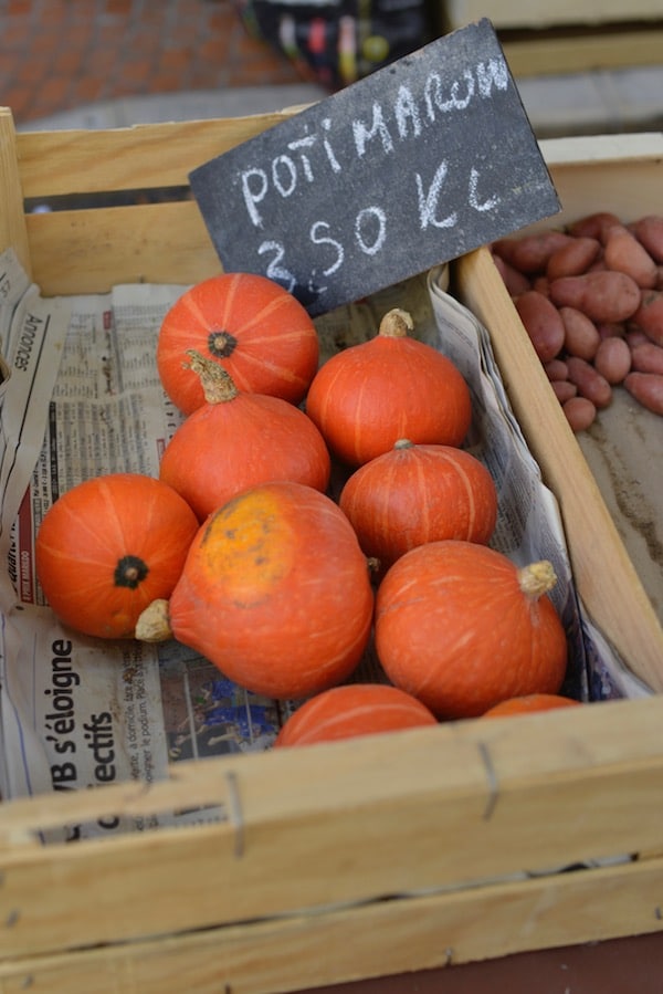 small pumpkins for sale