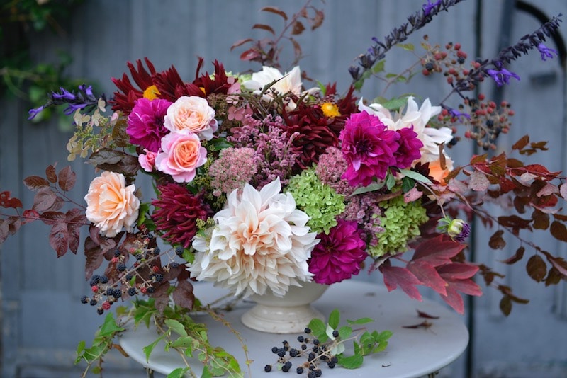 therapeutic bouquet of dahlias and roses