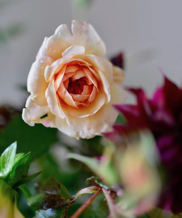 bouquet with autumn flowers