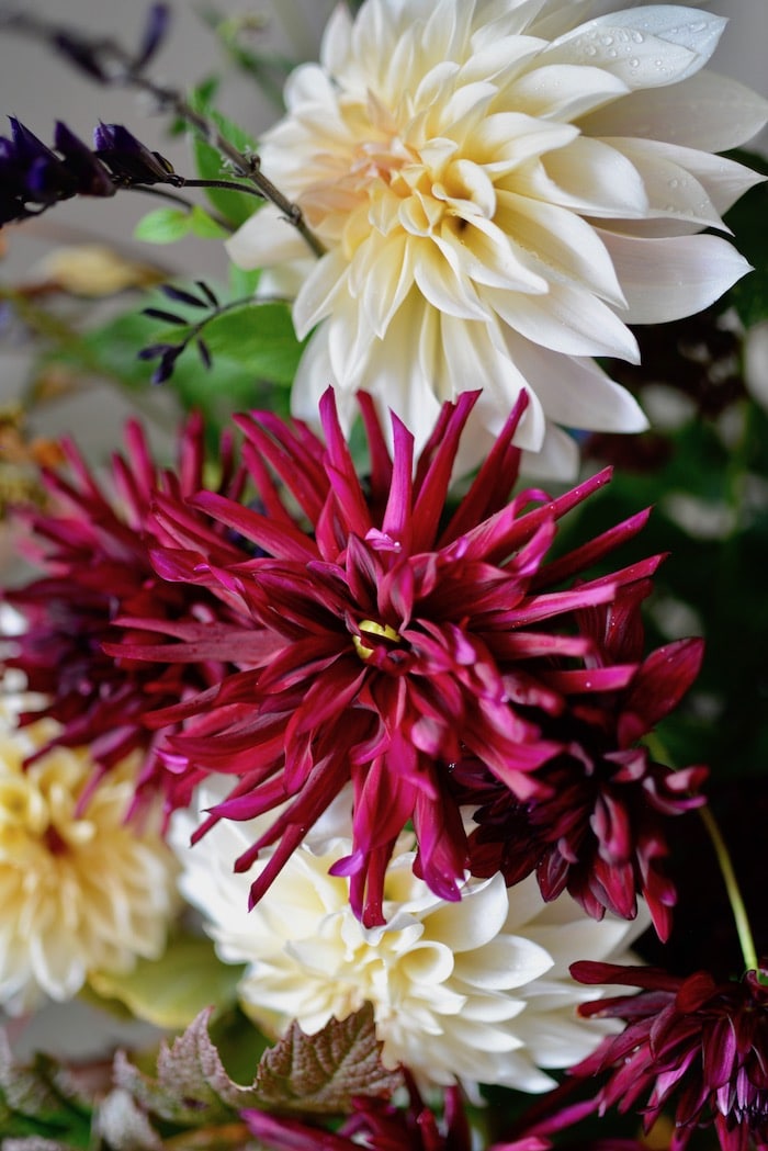 bouquet with autumn flowers