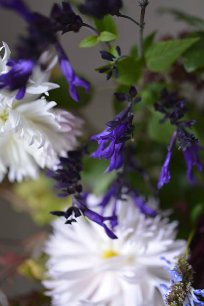 bouquet with autumn flowers