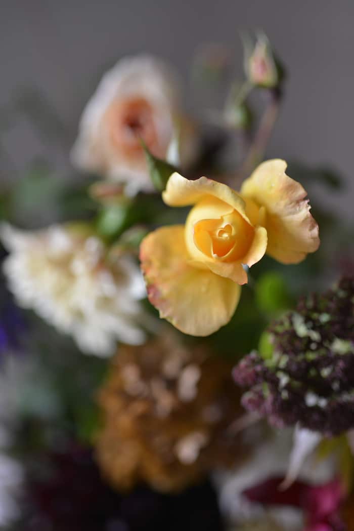 bouquet with autumn flowers