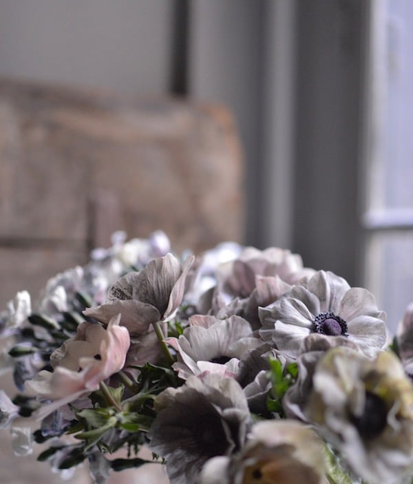 flowers seen in the january-february issue of my french country home magazine