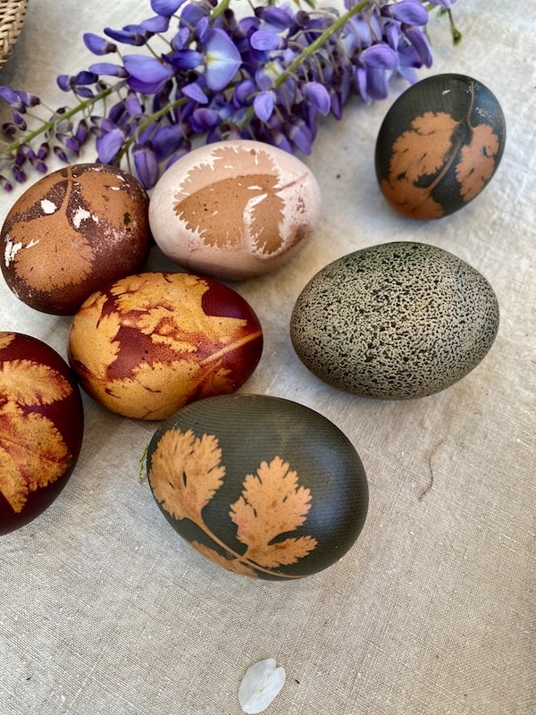 eggs dyed with natural colours