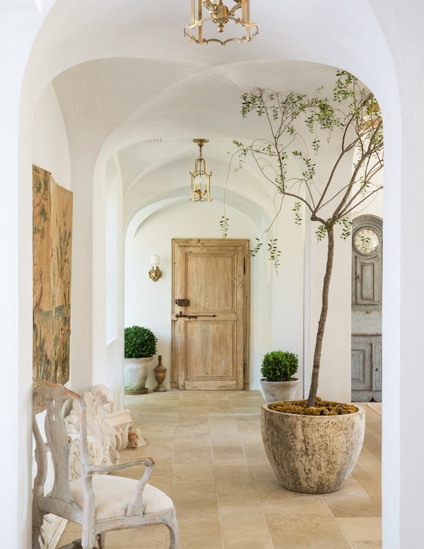 entrance way with wooden door and potted tree