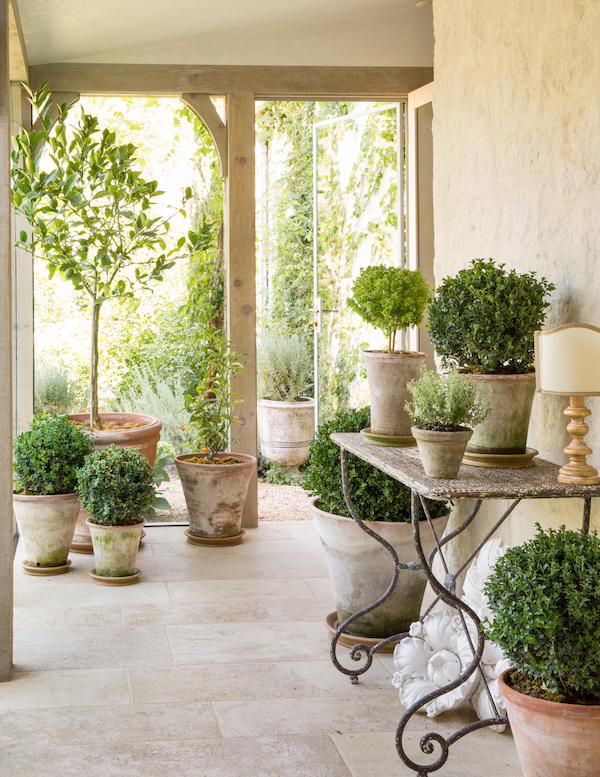 home entrance with potted plants