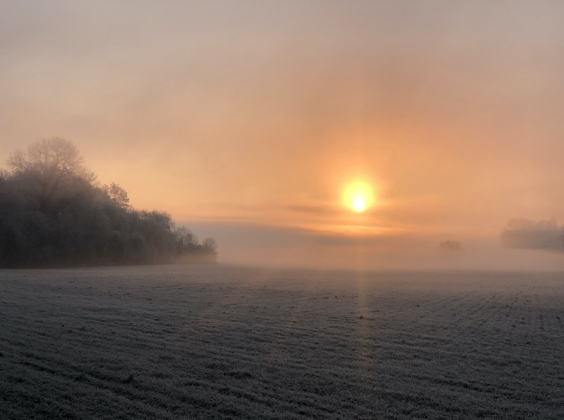 sunrise in field
