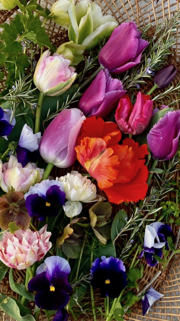 spring flowers