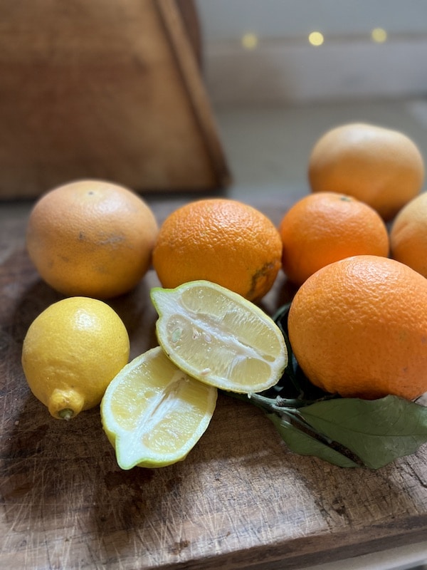 lemons for christmas marmalade