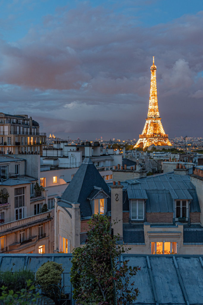 rooftops of paris