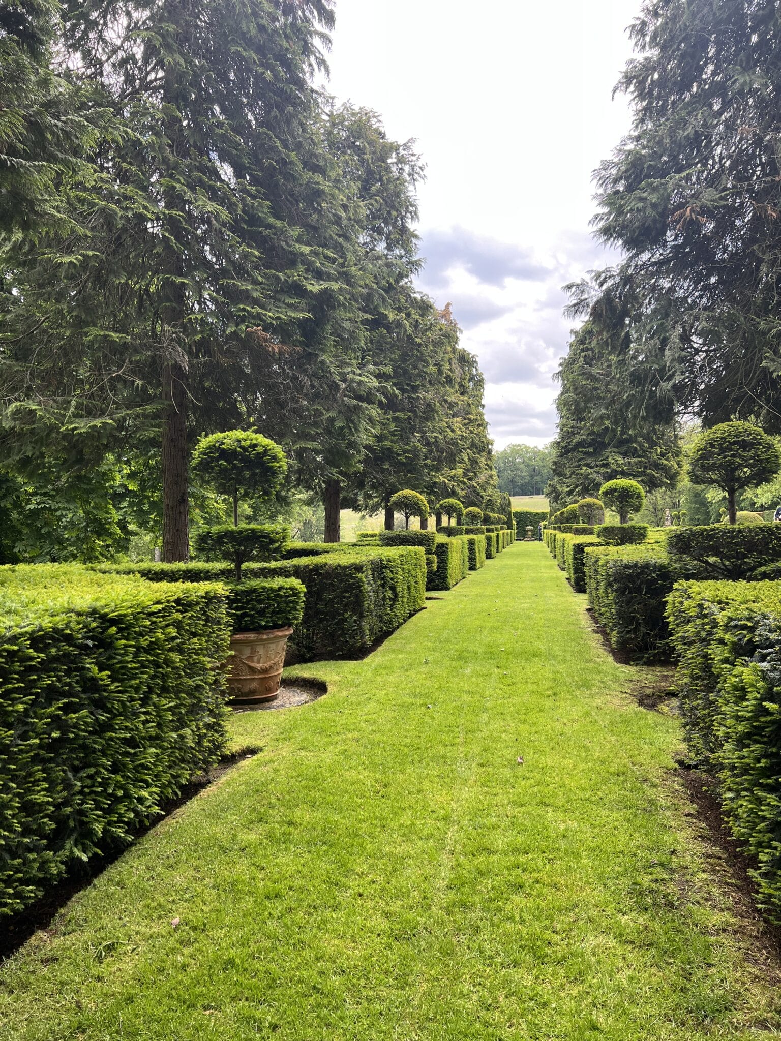 garden inspiration