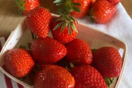 FRESH STRAWBERRIES FOR JAM MAKING