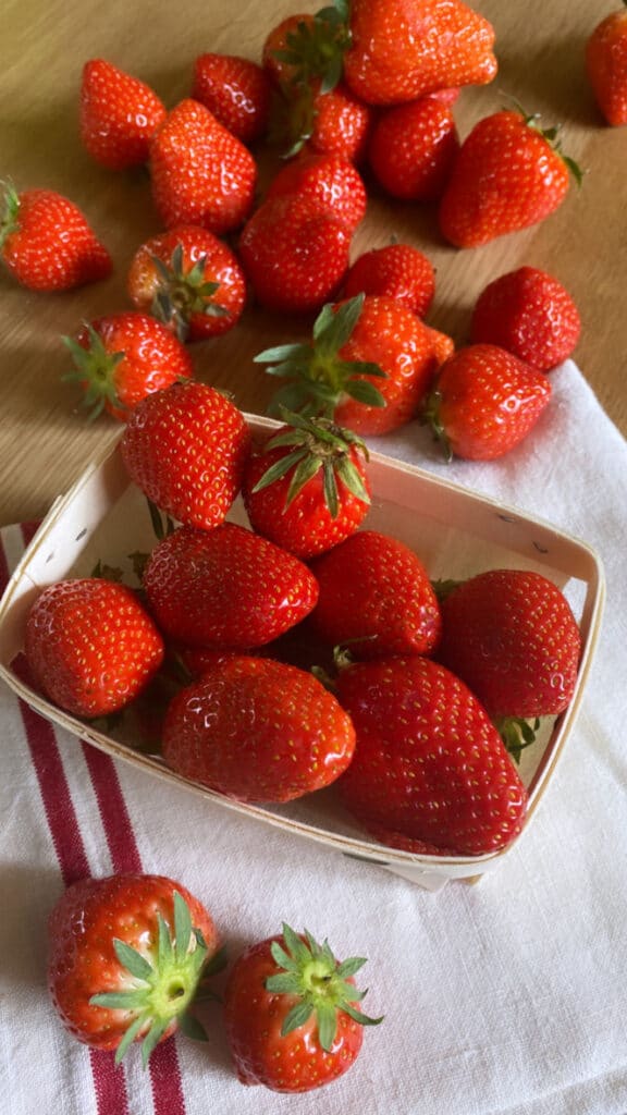 FRESH STRAWBERRIES FOR JAM MAKING