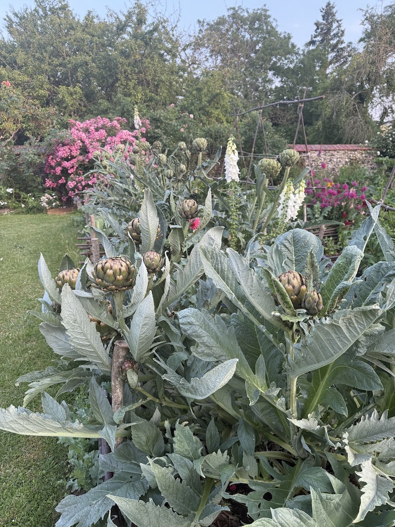 My French Country Home Garden