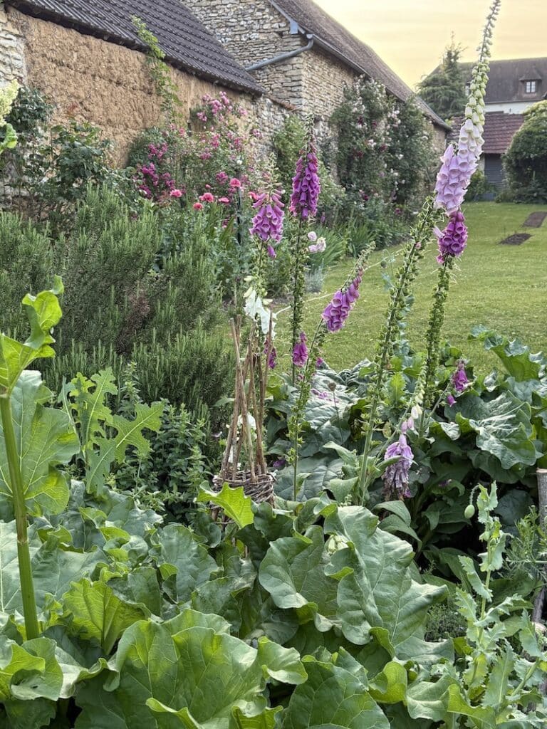 what my garden gives me