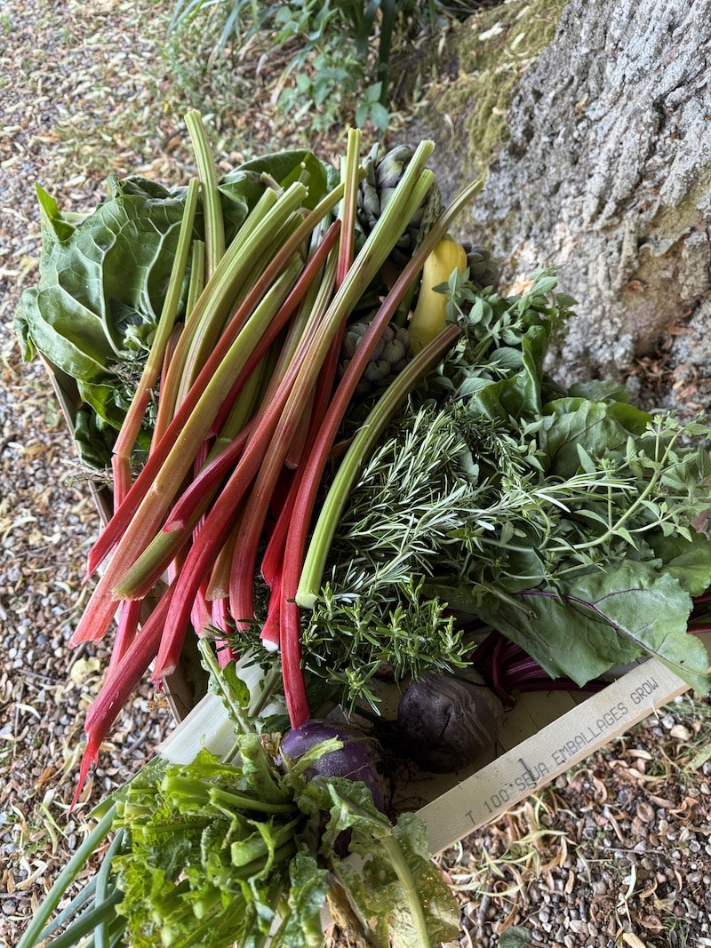 my french country home garden