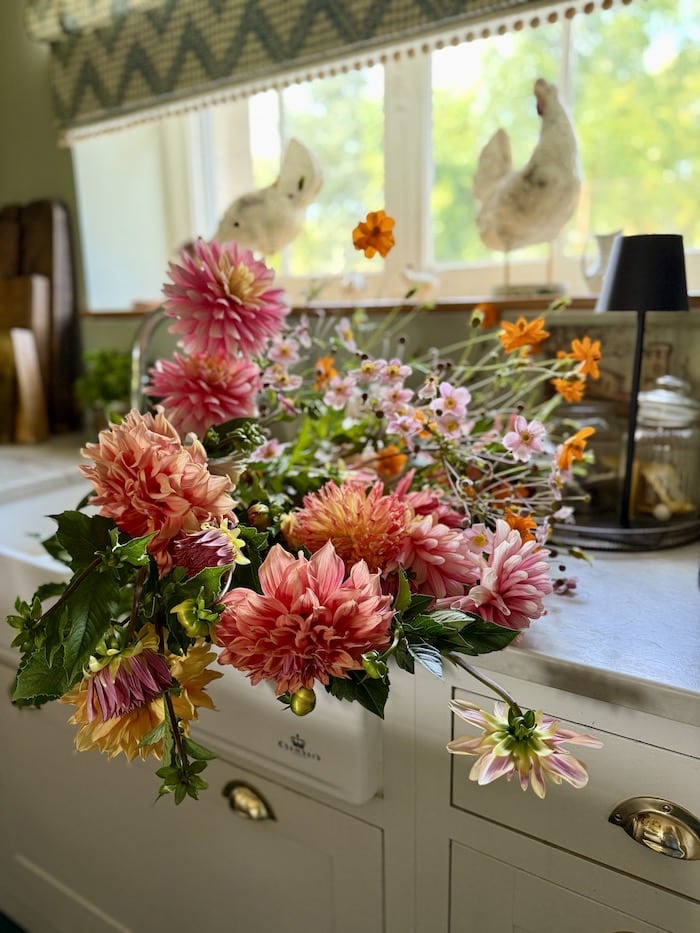 dahlias from the garden in kitchen sink