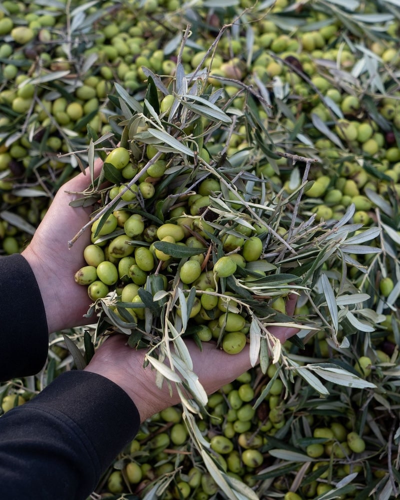 A French-Inspired Fall: Inside Our September/October Issue