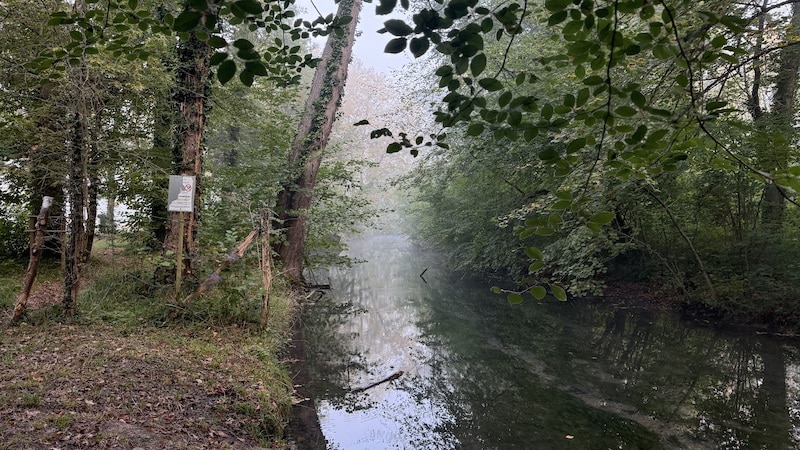 MISTY MORNINGS IN NORMANDY