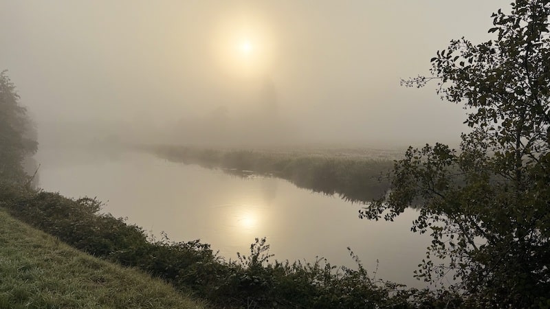 Slow Mornings in the Normandy Countryside