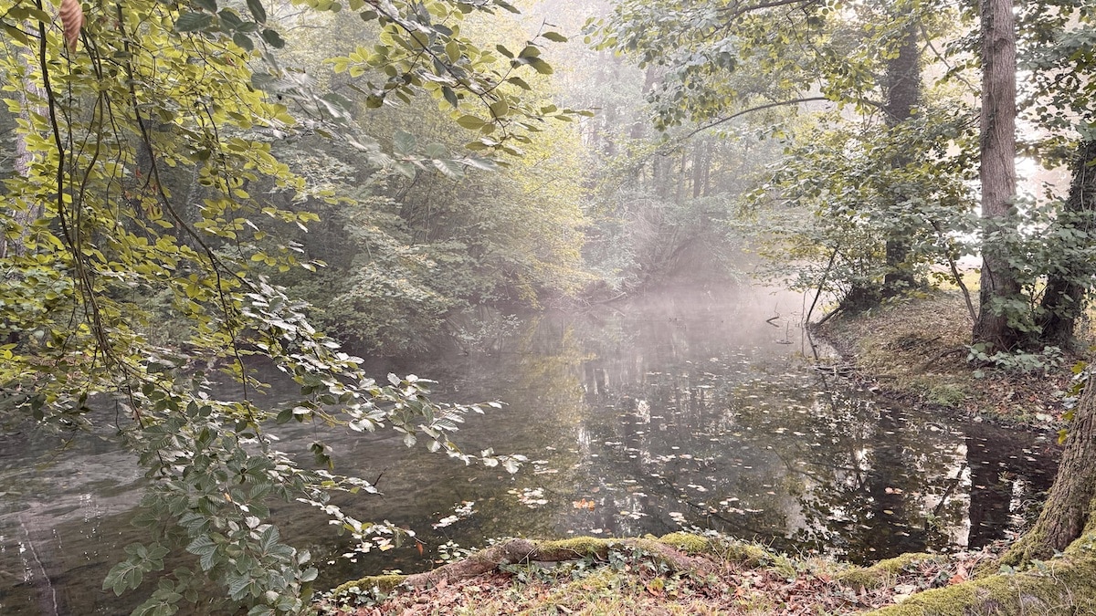 Slow Mornings in the Normandy Countryside