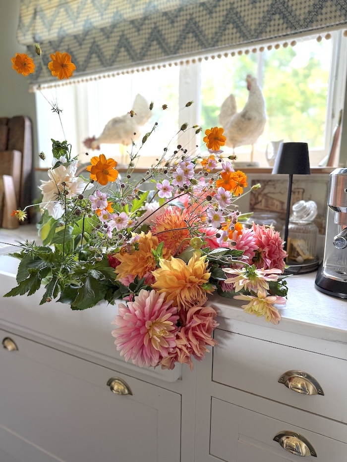 bunch of dahlias in the kitchen sink